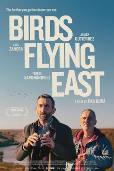 Birds Flying East (2024)