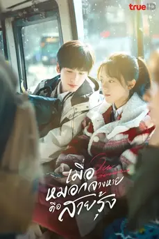 Our Generation (2025) เมื่อหมอกจางหายคือสายรุ้ง